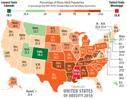 Obesity levels by state